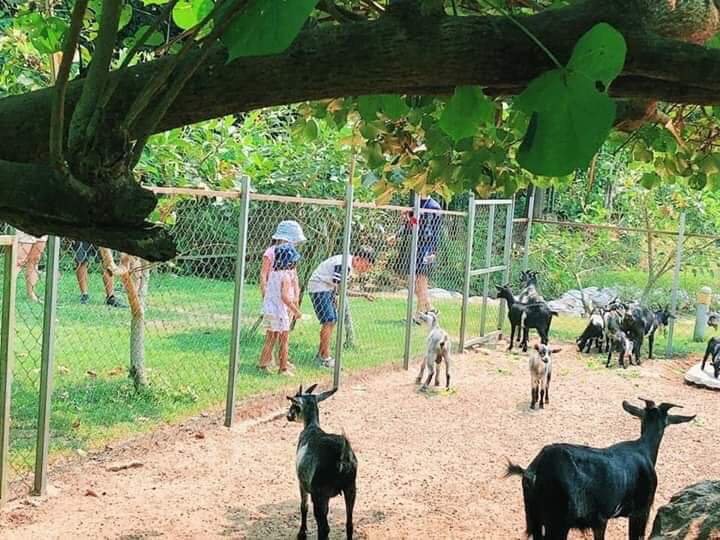 z5208129676390_47aa3a3ee078c0fca88d670e7a790434