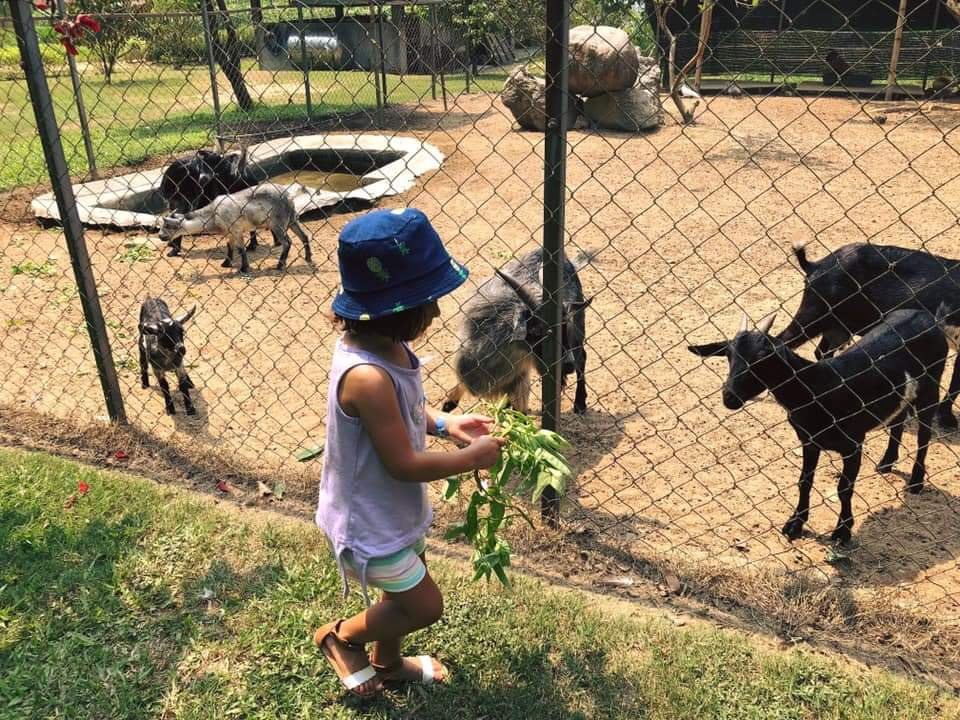 z5208129756556_1f94f92c4c9b9b42bf6e6e587612a33f