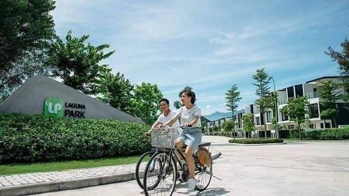 z5208129784089_8f43913740d36c95088c67094094d61c