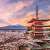 Khám phá sắc hoa anh đào Nhật Bản: Thủ đô Tokyo - Yamanashi - Núi Phú Sĩ - Narita